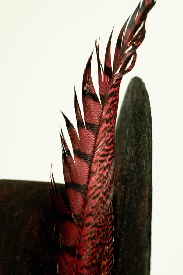 Feeling like adding a feather?