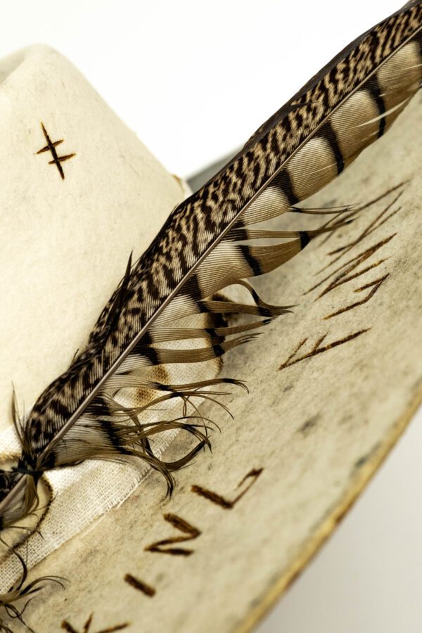 pheasant feather